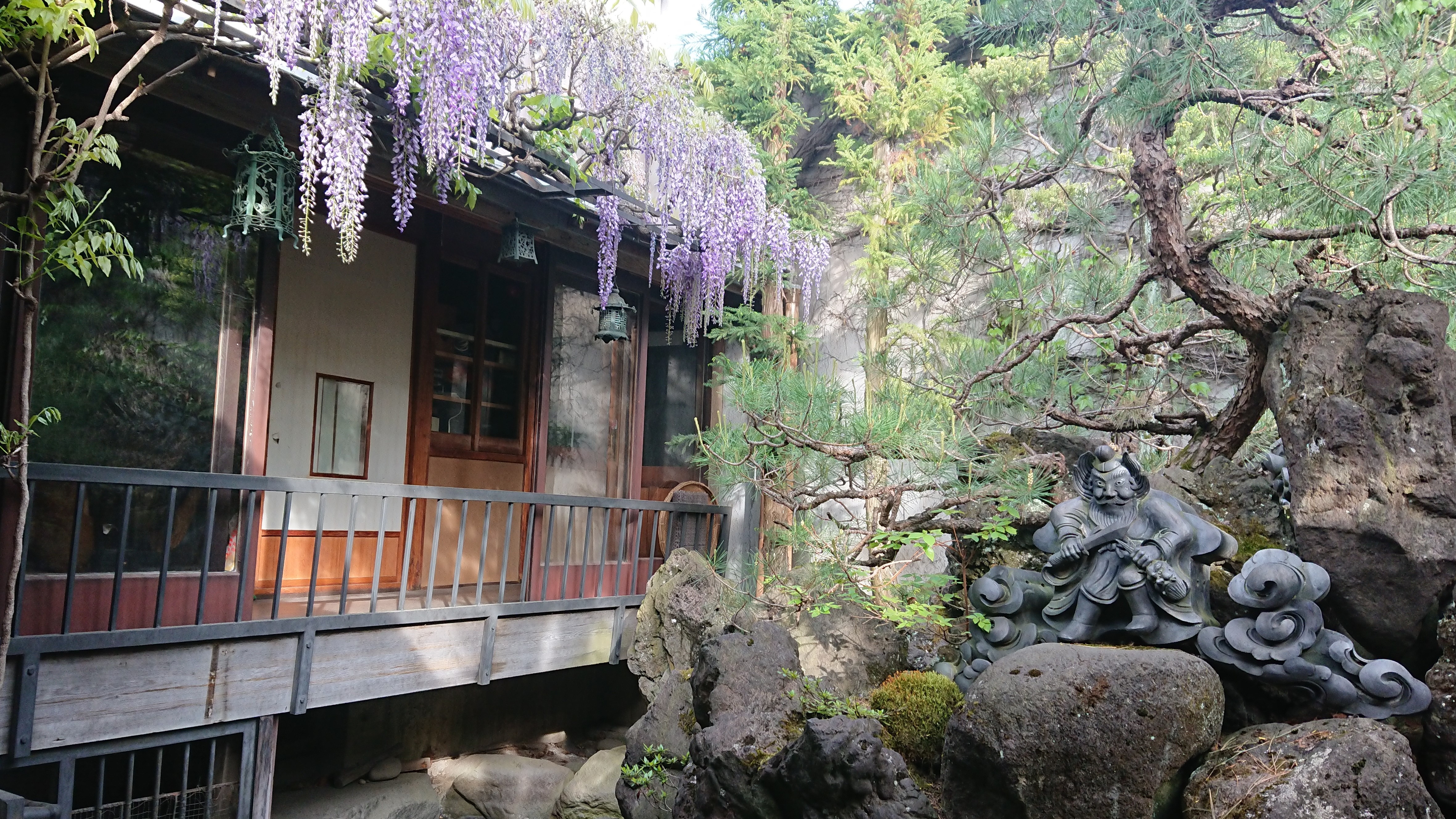 By His Bootstrap, the wisteria trellis in the spring courtyard