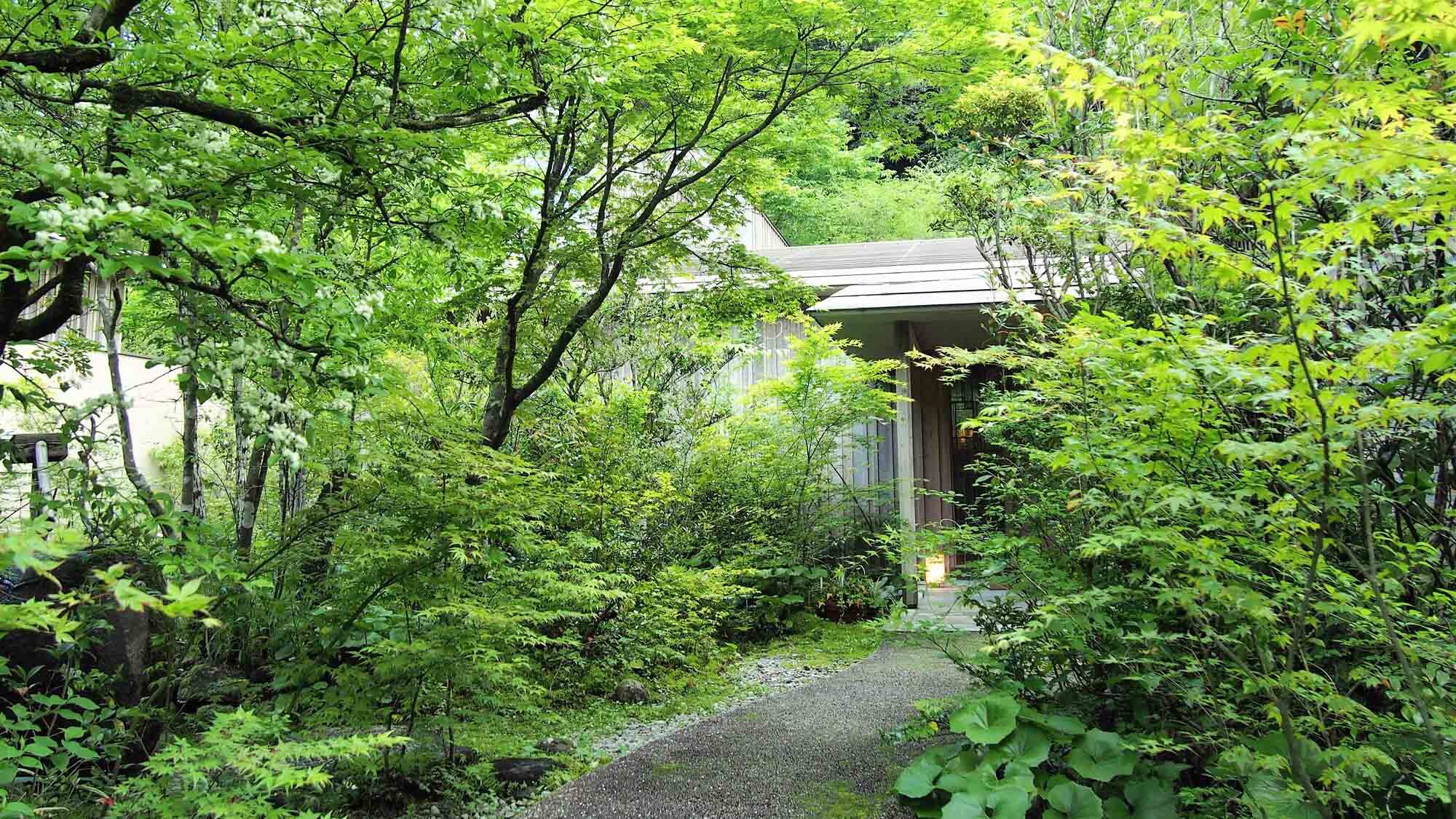 A beautiful season of colorful new greenery.