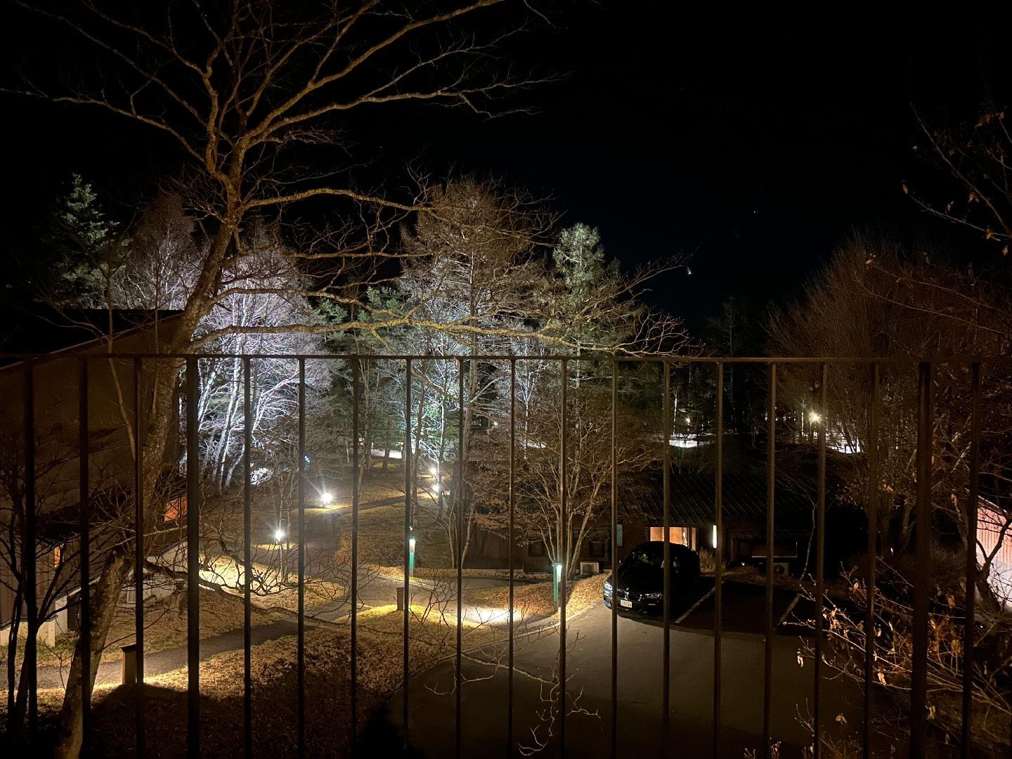 870FF251-9579-43AF-A6F2-80C9A6F4E04B.jpeg