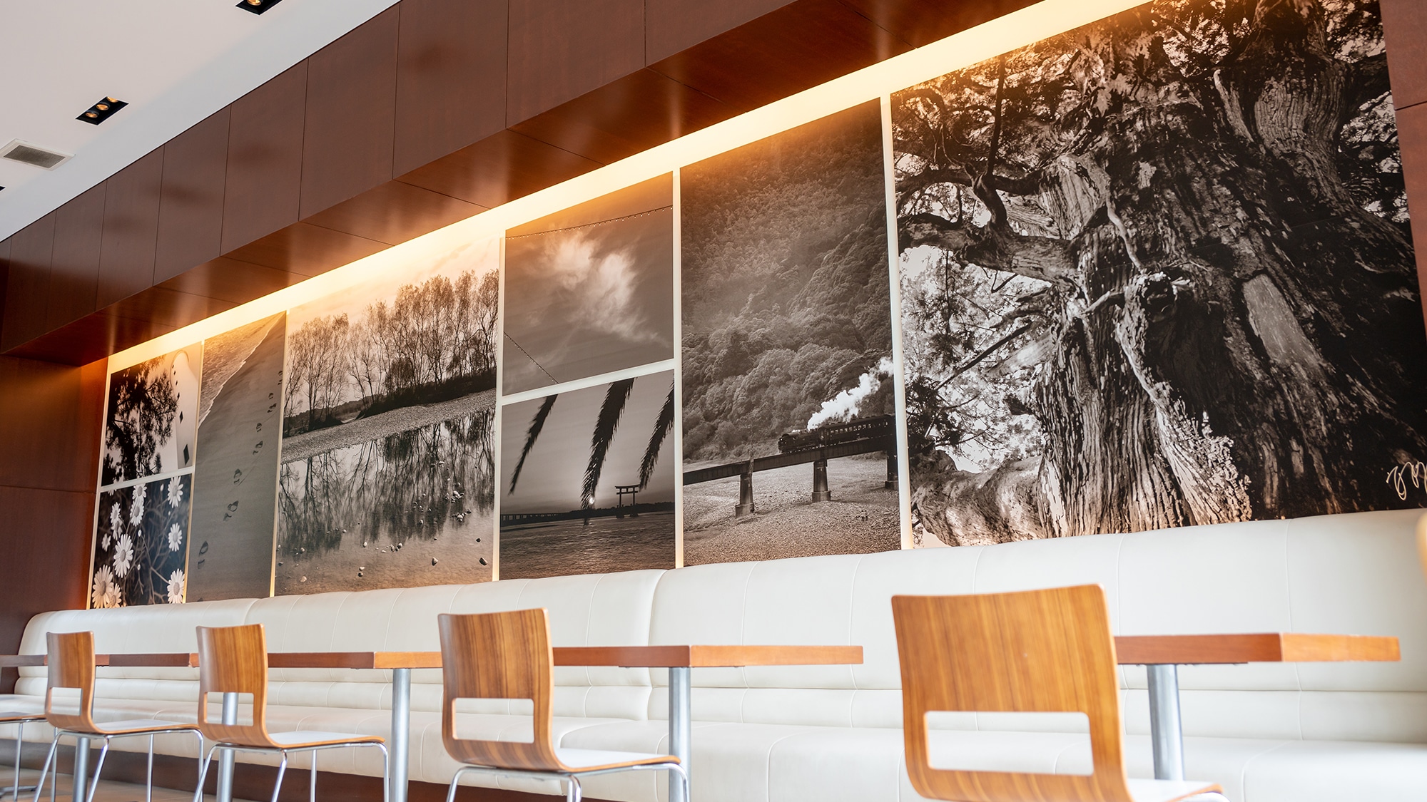 d-cafe (ART side)