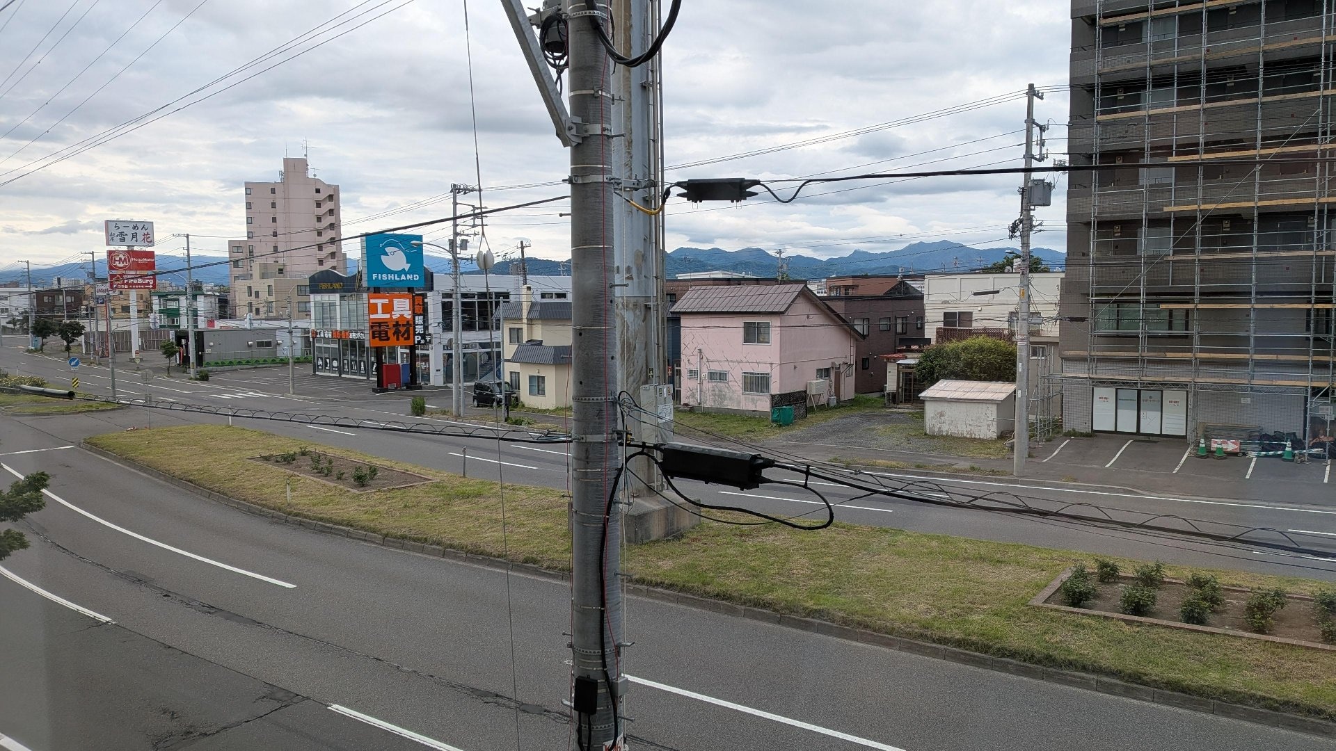 805.jpg
