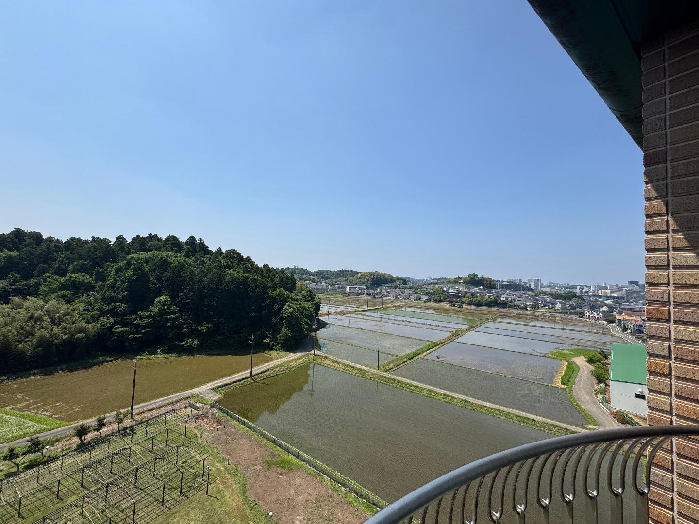 D79AF84C-A6B4-491D-839F-3B2675F9C89C.jpeg