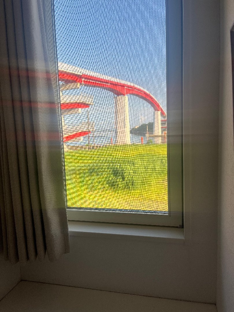 IMG_1358.jpeg