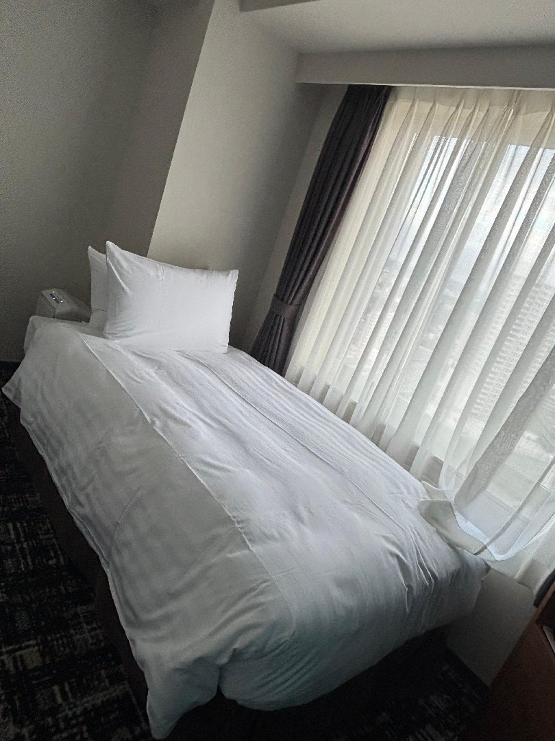 IMG_6209.jpeg