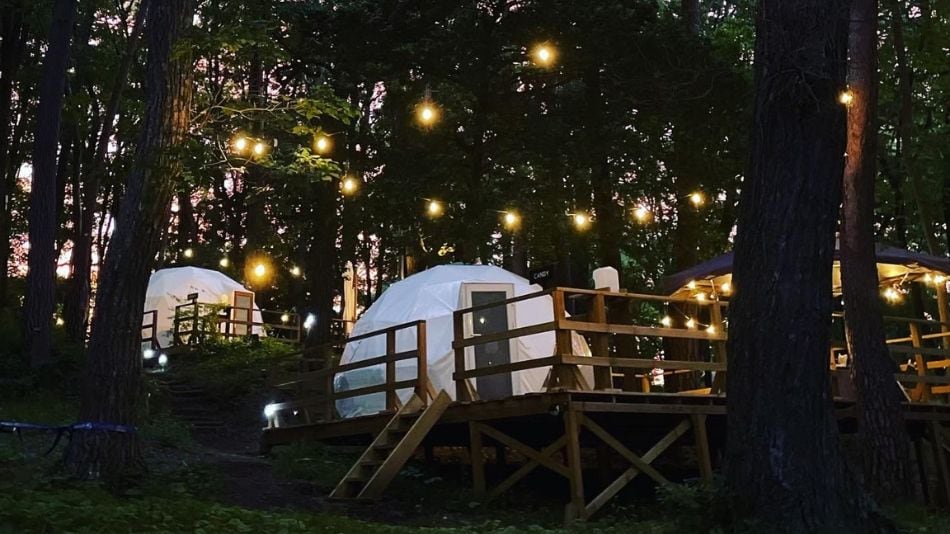 A magical night