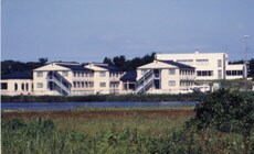 Appearance image