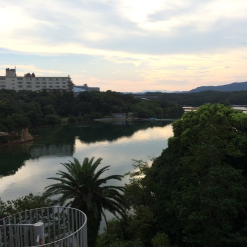 View from the room