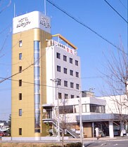 รูปลักษณ์ภายนอกของภาพ