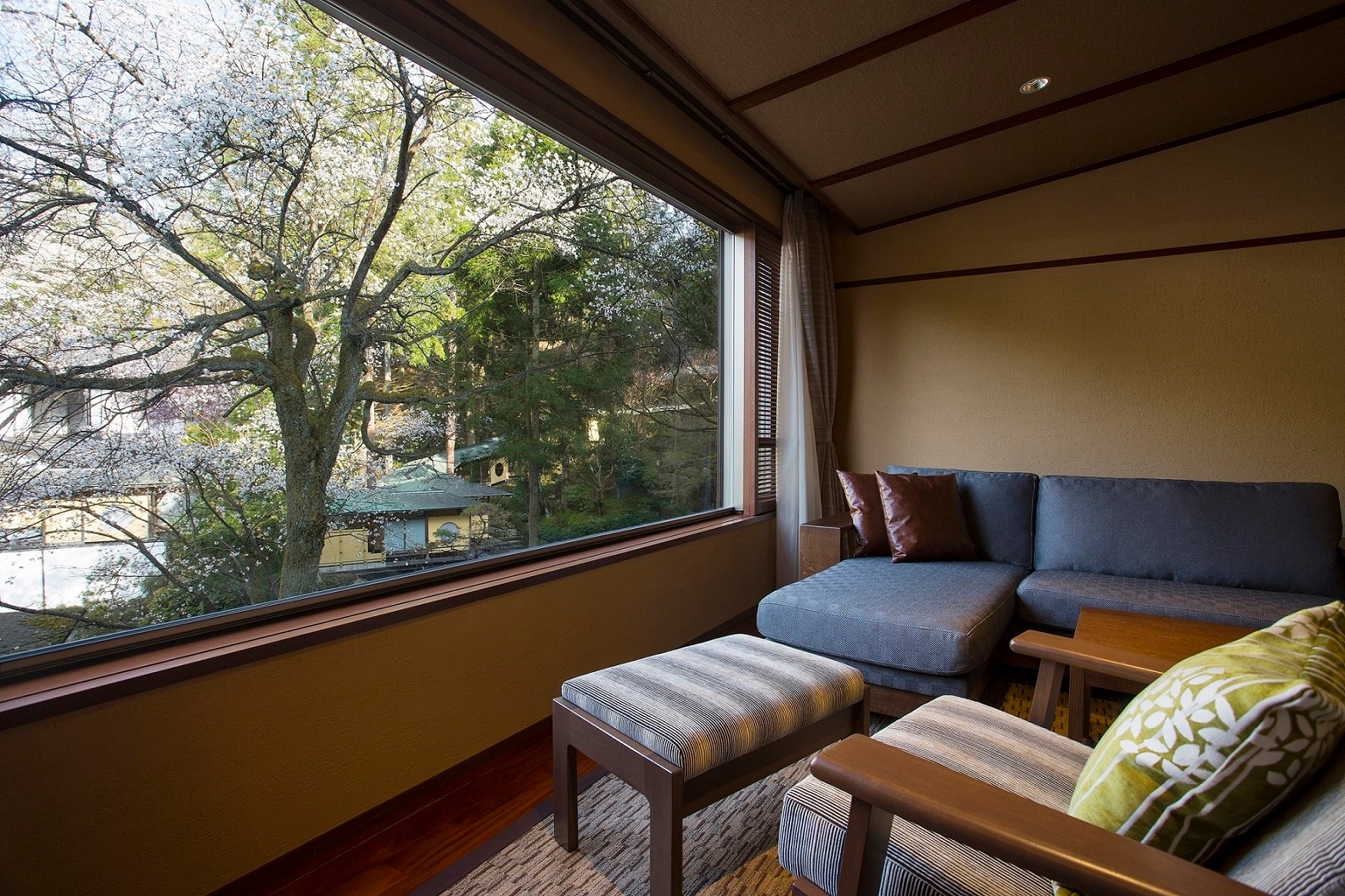 [本館：日式現代雙床房] 淋浴間類型（示例） 從房間的窗戶可以看到院子裡的樹木。
