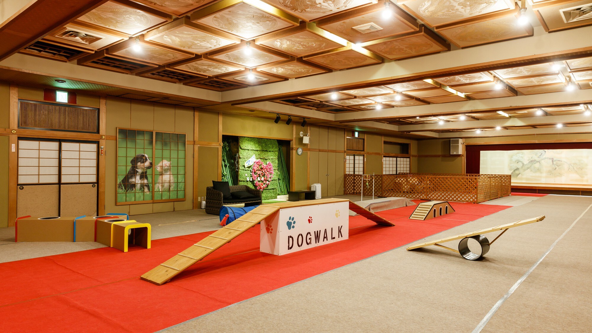 Indoor dog run