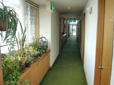 Second floor corridor