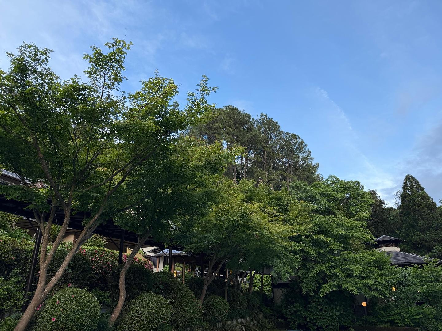 1C0328B1-E9ED-4203-907D-66CA8935F711.jpeg