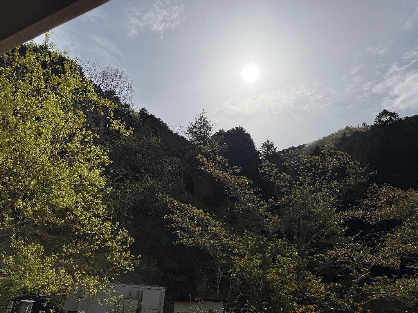 5C29466C-69E2-48AC-9854-D39469075046.jpeg