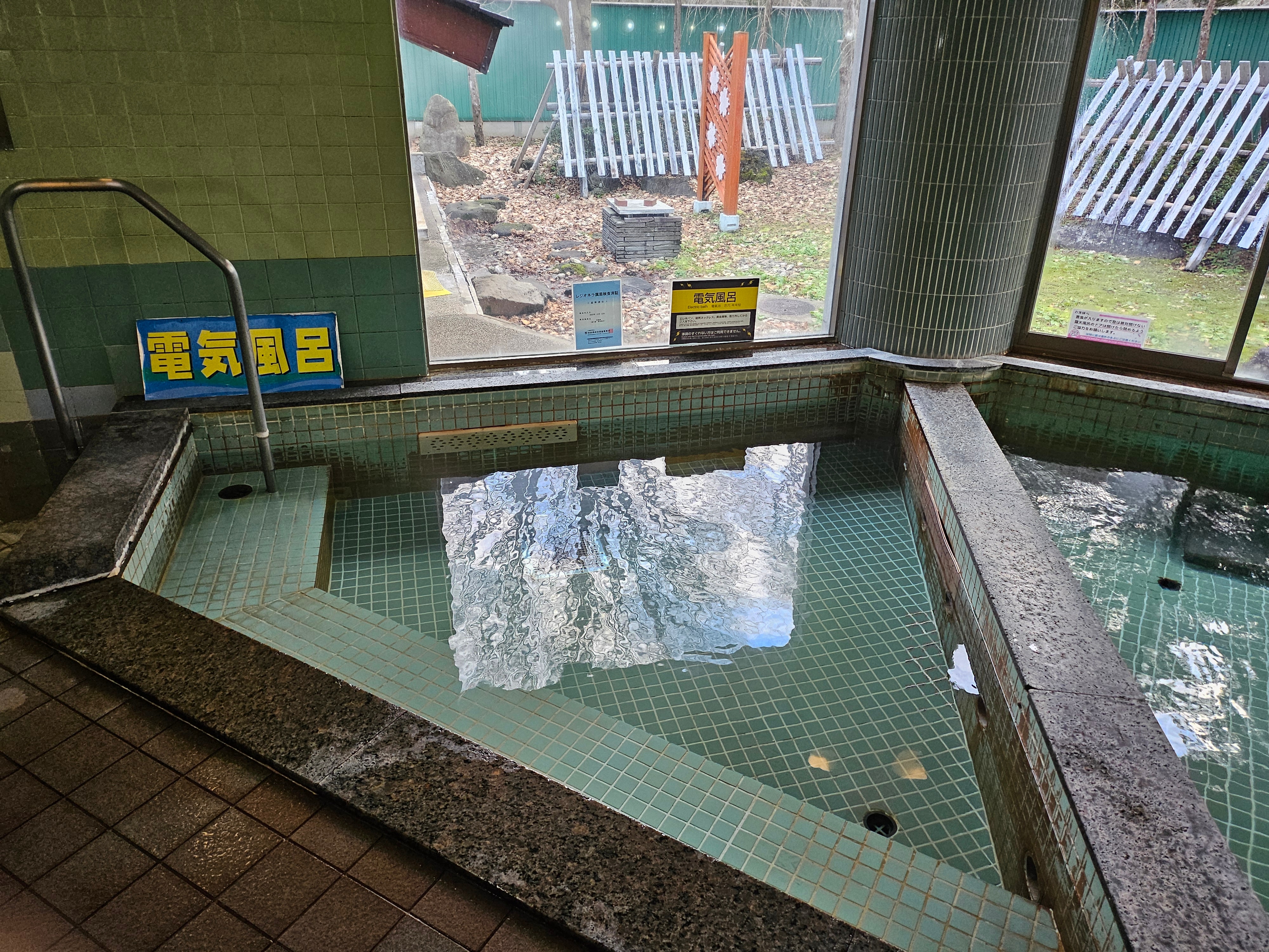 Mandi listrik (Mandi daun)