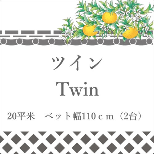 【twin】