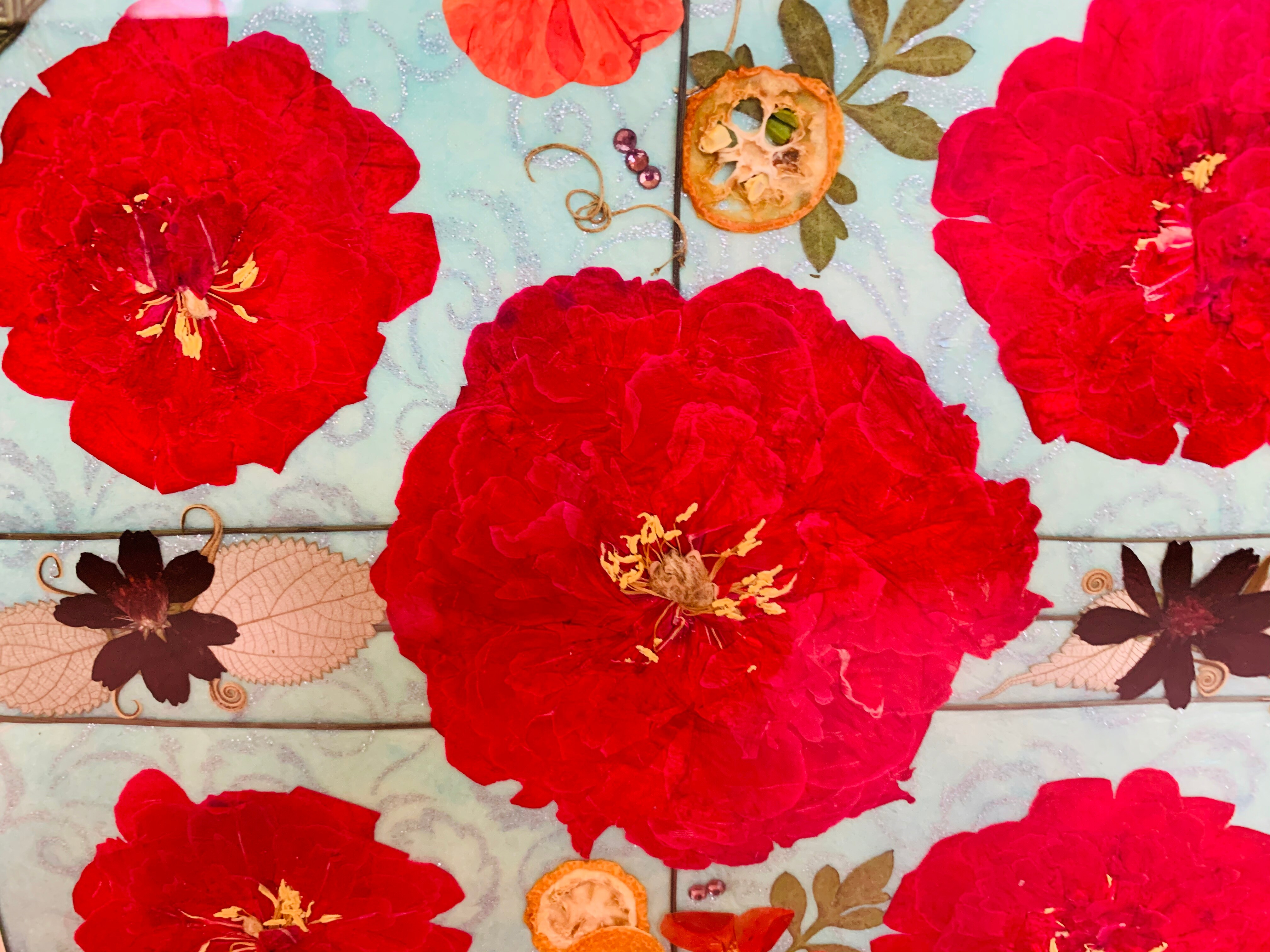 Peony forehead