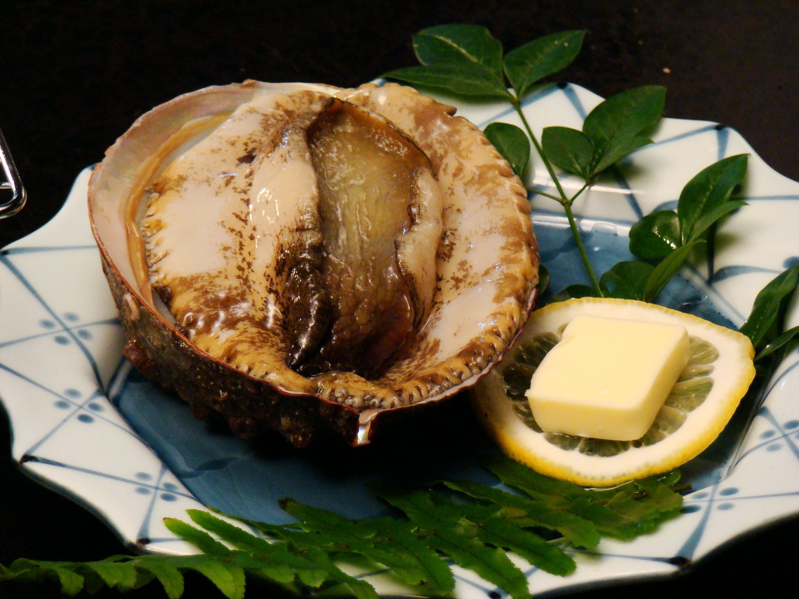 Mega Boso Abalone "Red" Odoriyaki Example