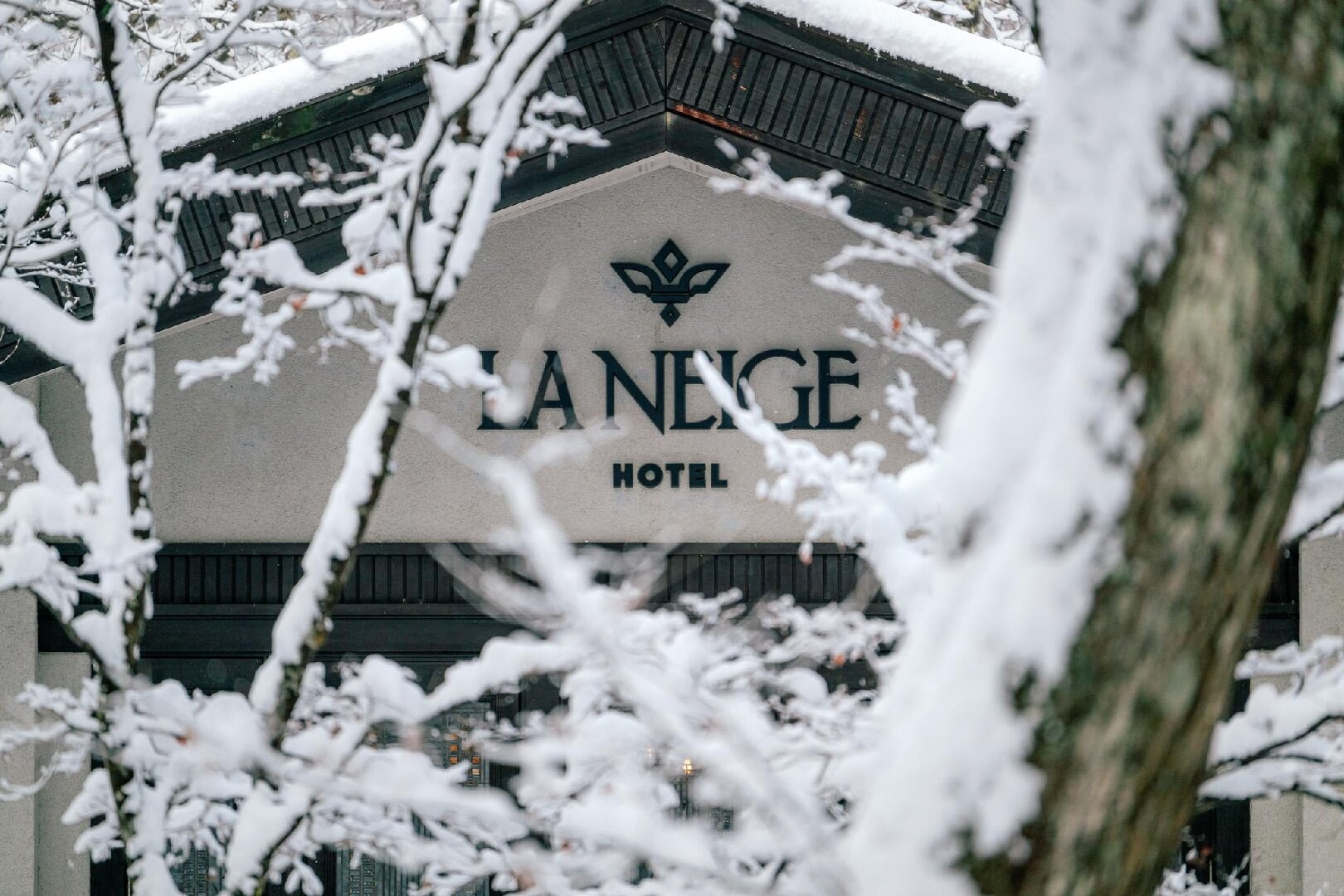 雪中的雪之酒店