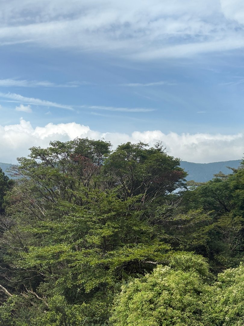 IMG_4484.jpeg