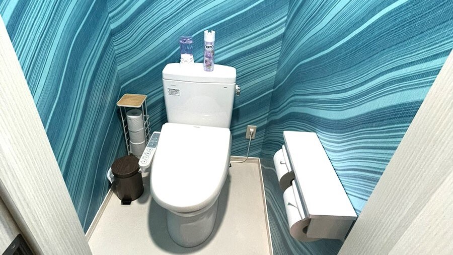 D-type (toilet)