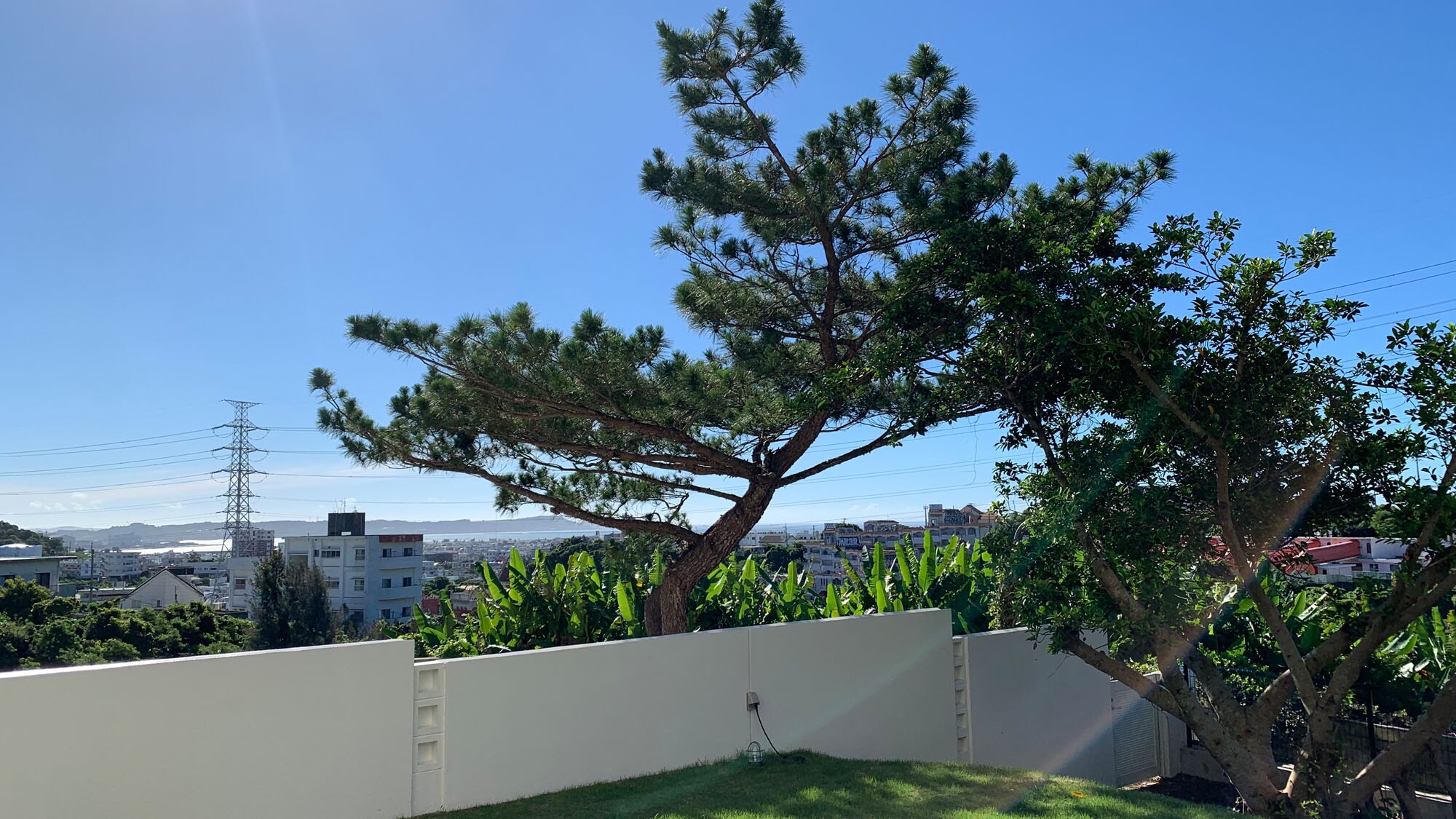 garden