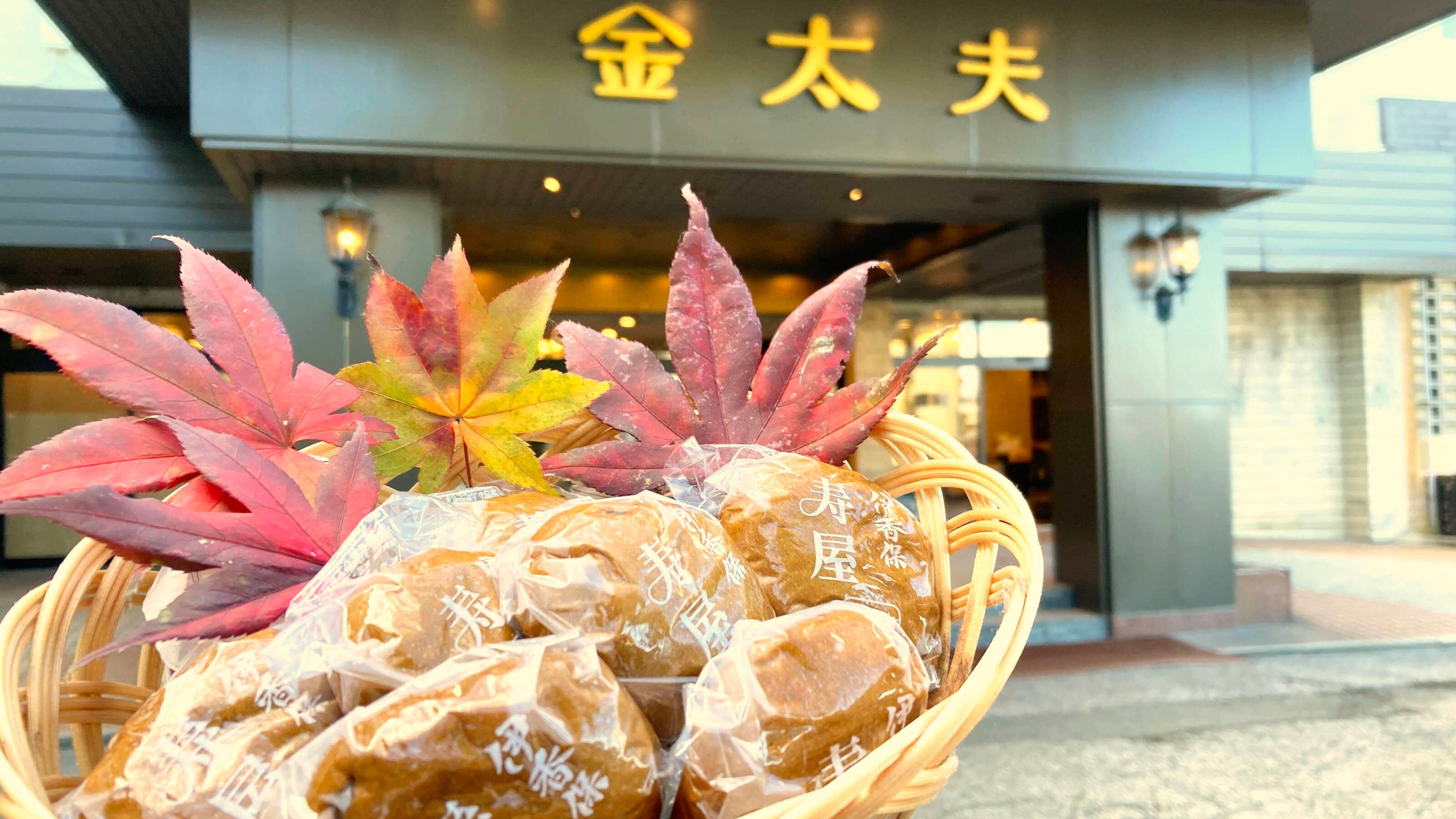 酒店外觀（秋季版）