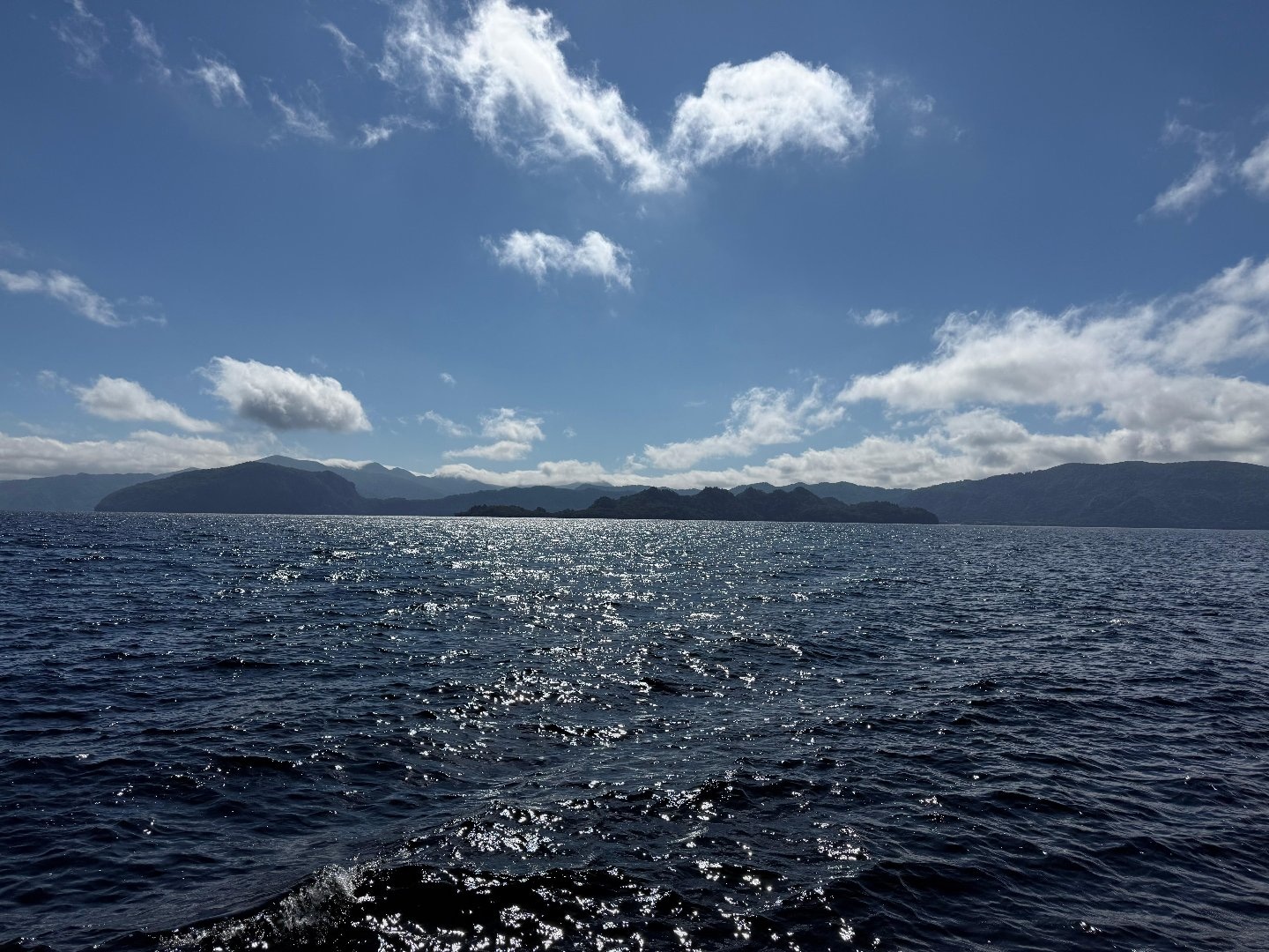 58825E2C-3B6E-4717-960D-3EEACE157B86.jpeg