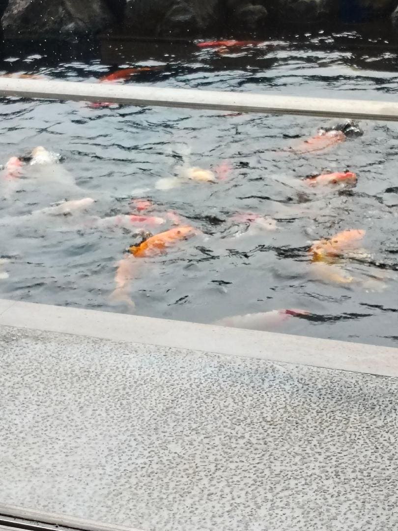 580.jpg