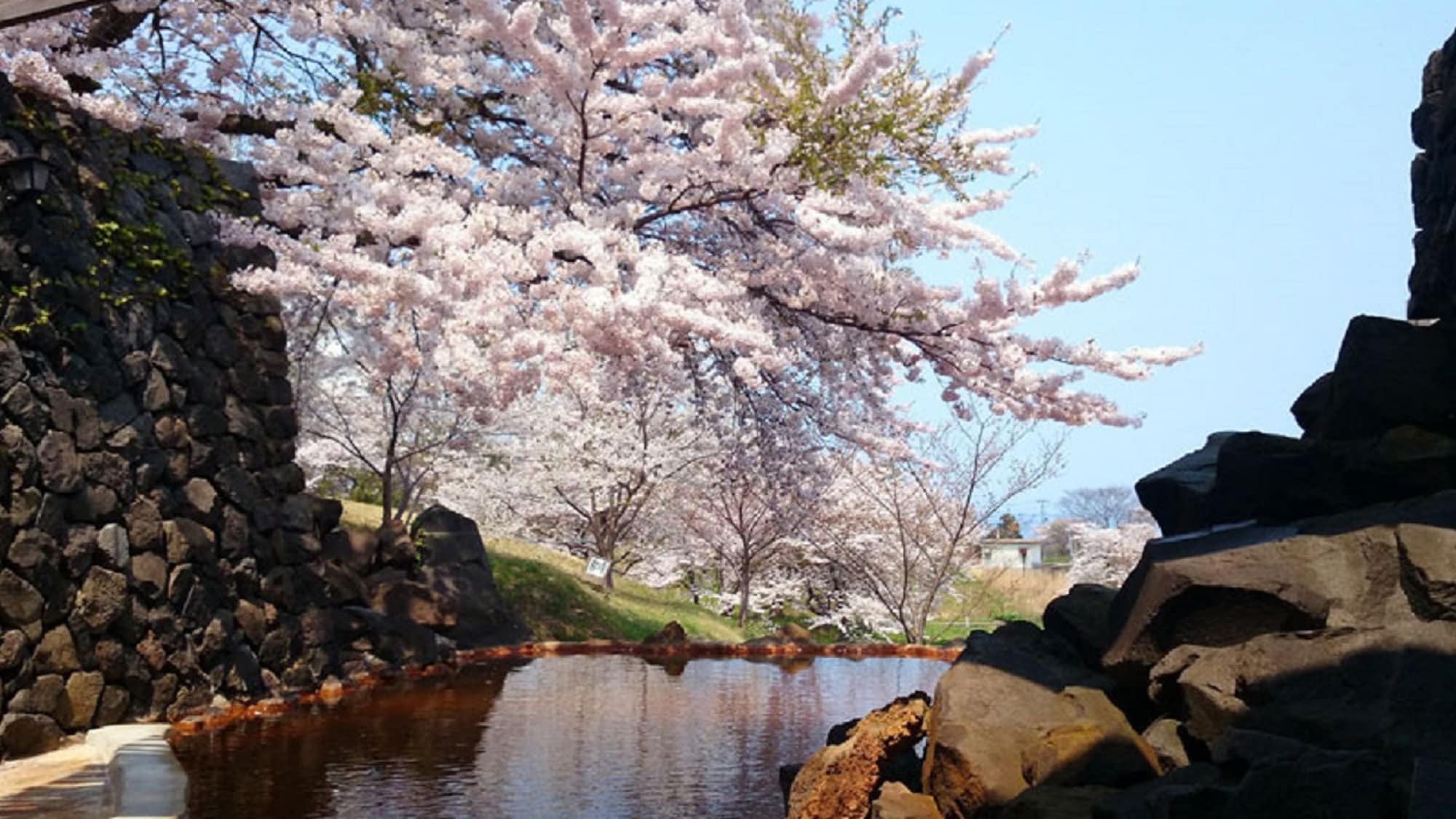 ● "Oga Hotel" Sakura Open-Air Bath