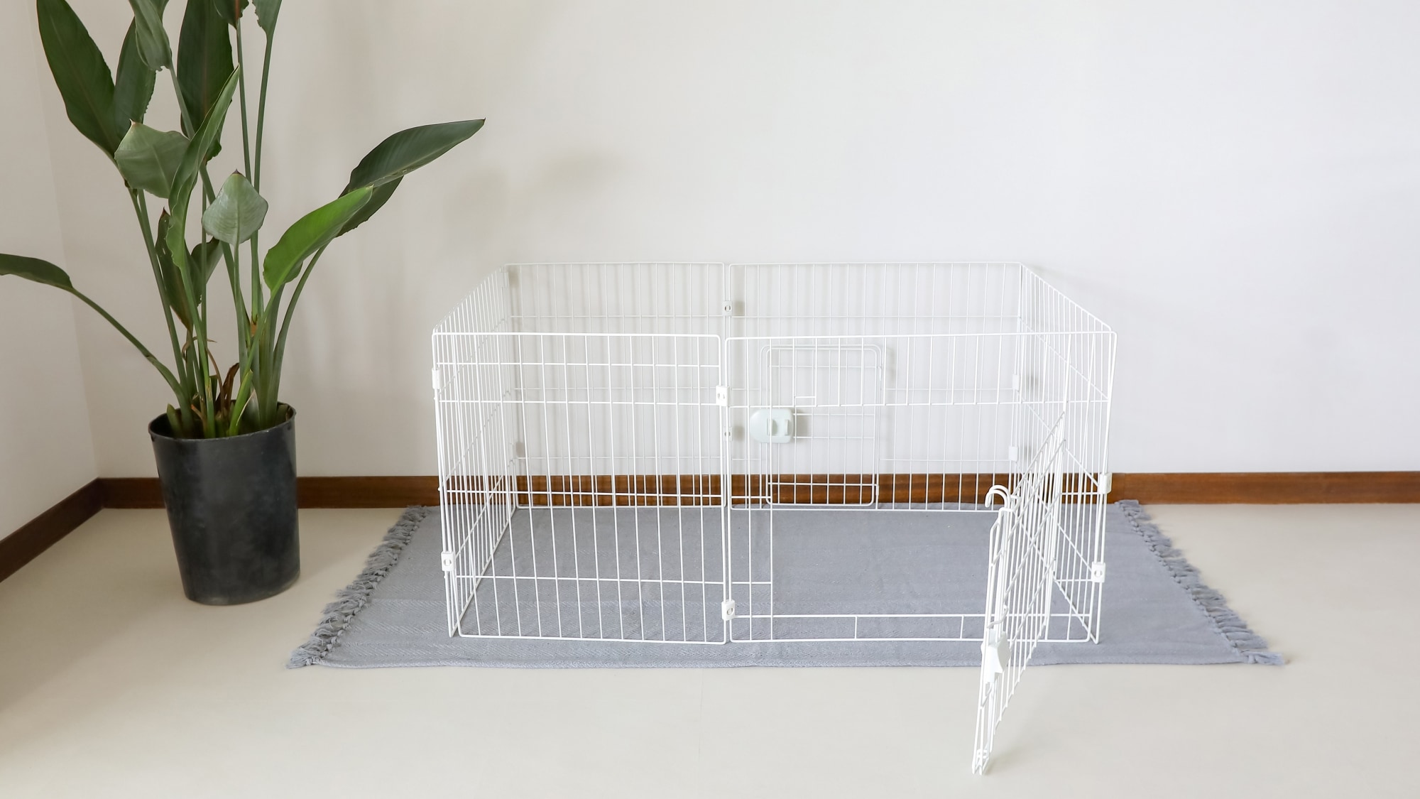 *[Casual 2LDK/Pets allowed] 2LDK Ocean view