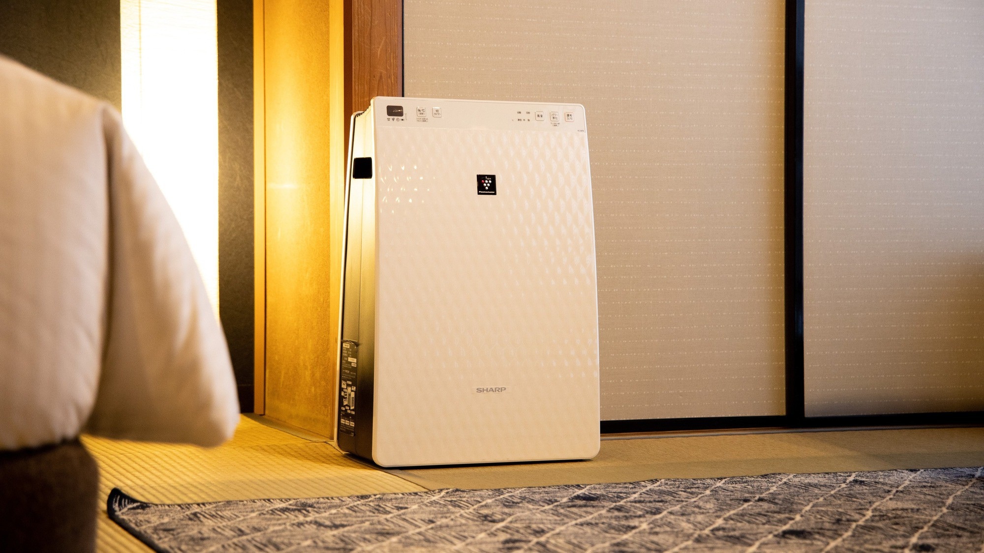 Air cleaner