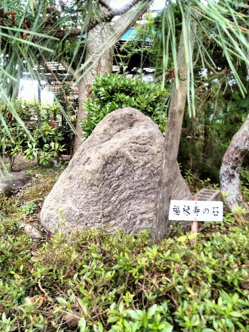 IMG20260616155949.jpg