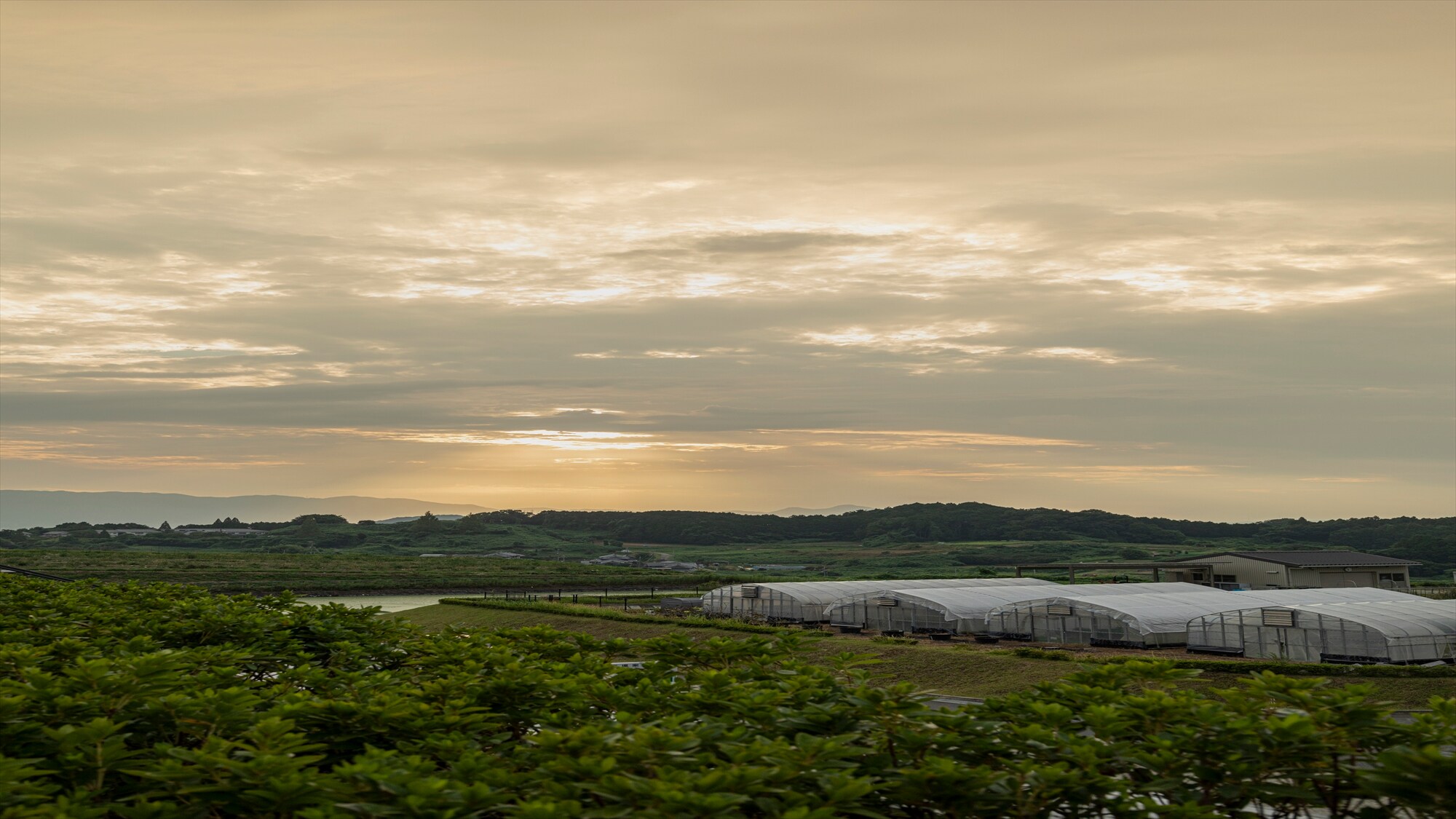 Landscape