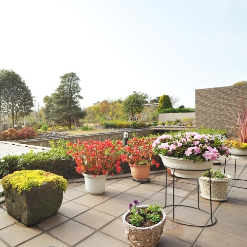 [Business Inn Umesaki] A beautiful garden with seasonal flowers