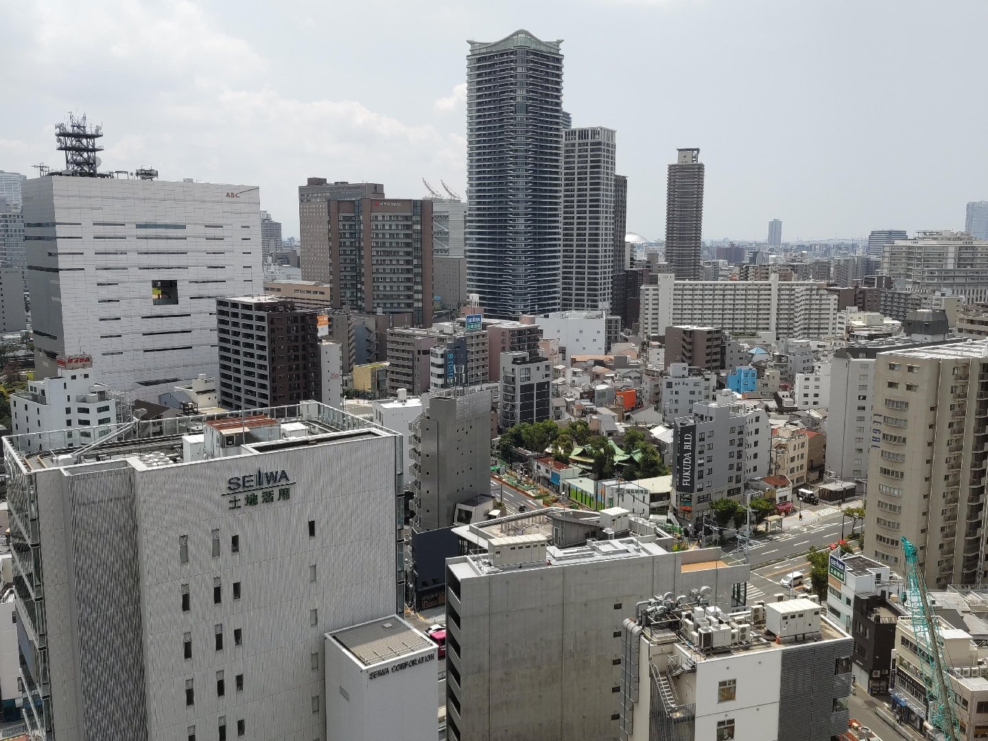 DSC_0247.JPG