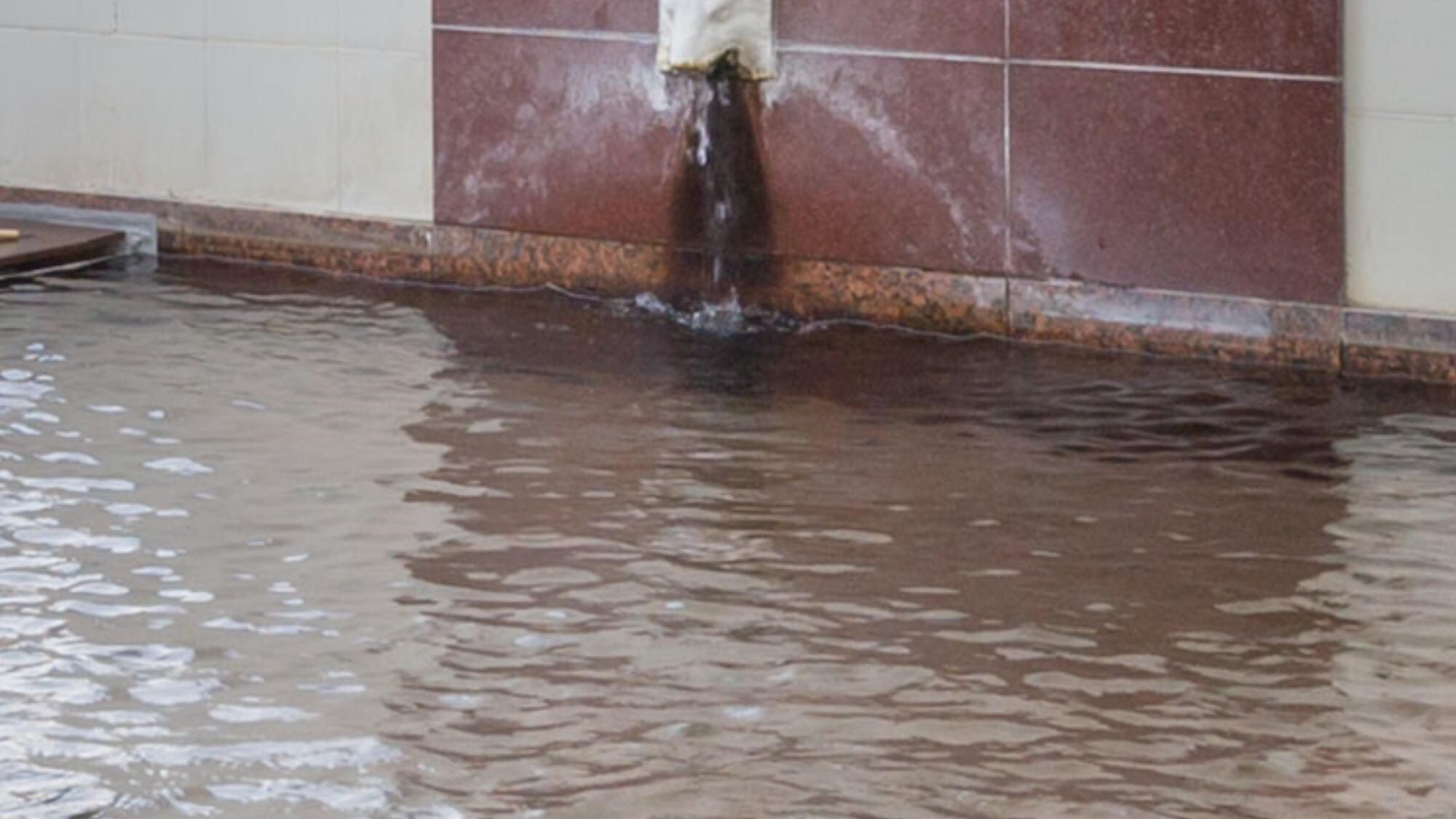 大型观景池│源自我们自有水源的清澈无色碱性泉水