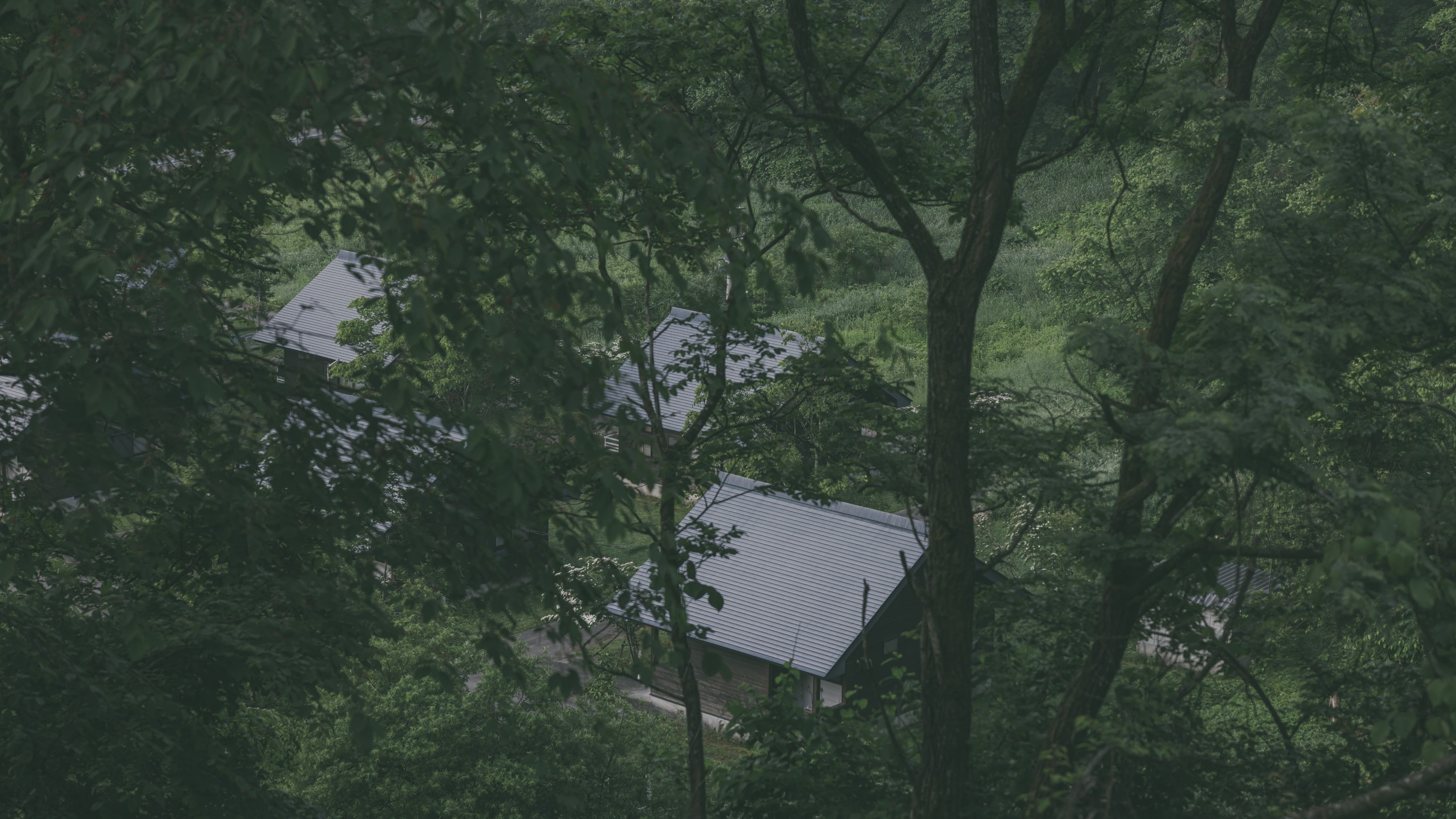 Forest Cottage