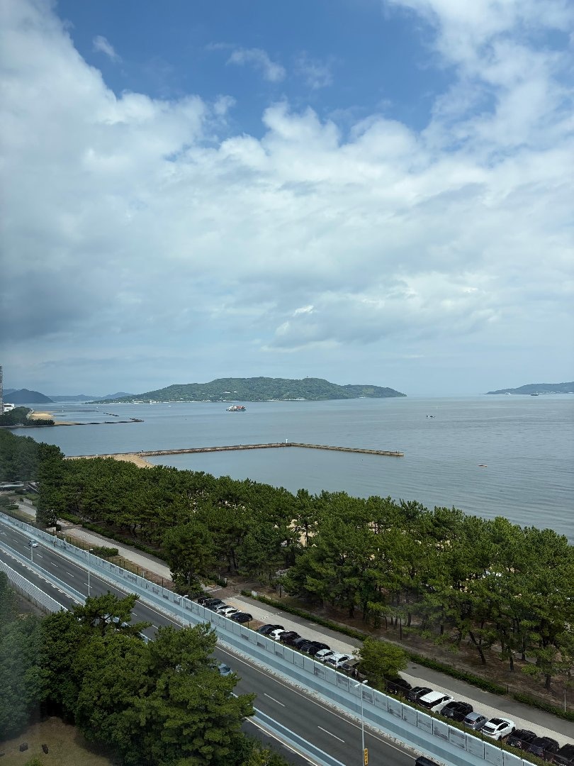 IMG_4733.jpeg