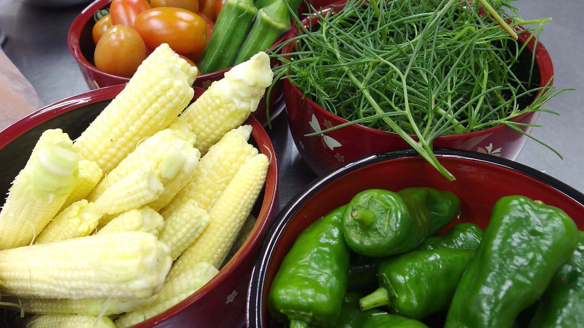 ・ Summer vegetable harvest