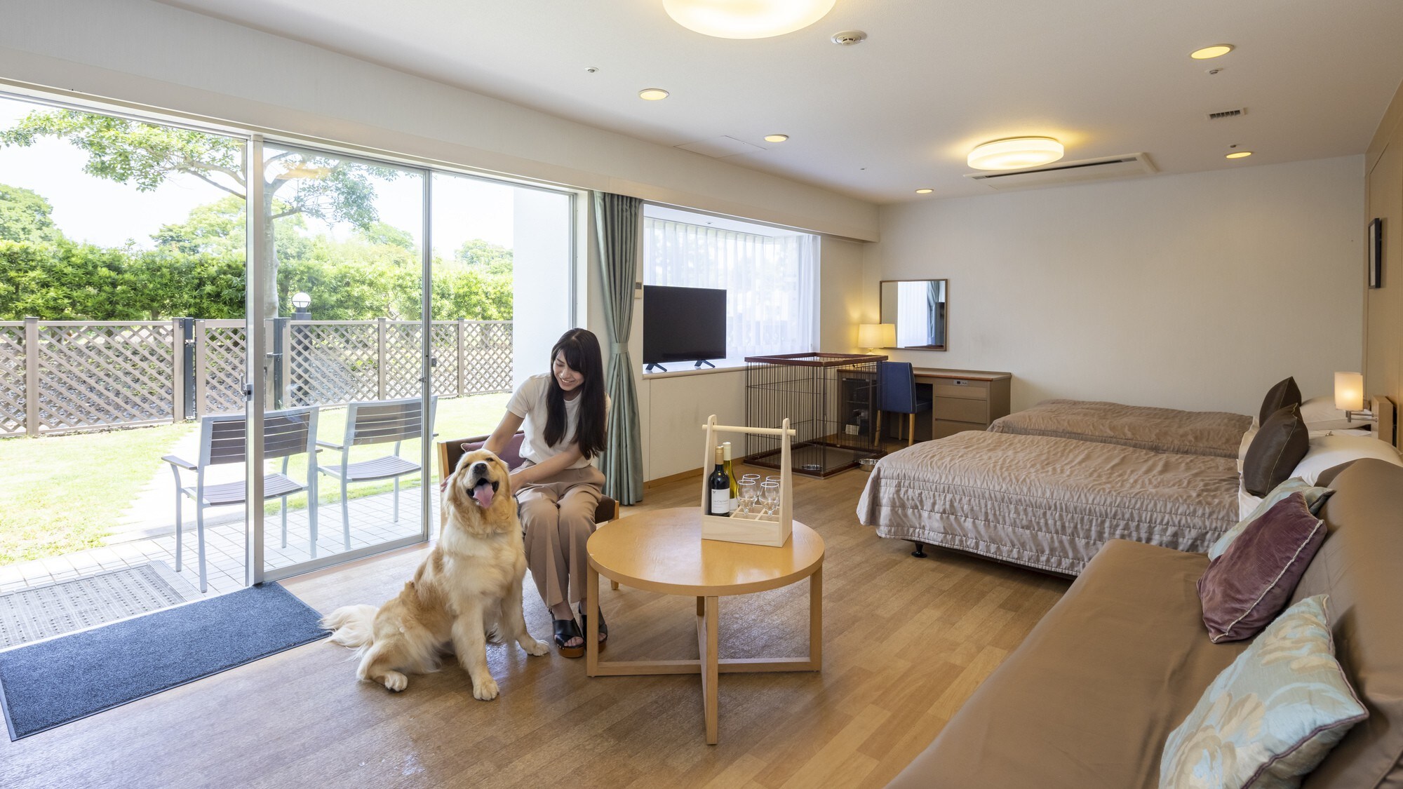 Pet Friendly Dog and Cat Room