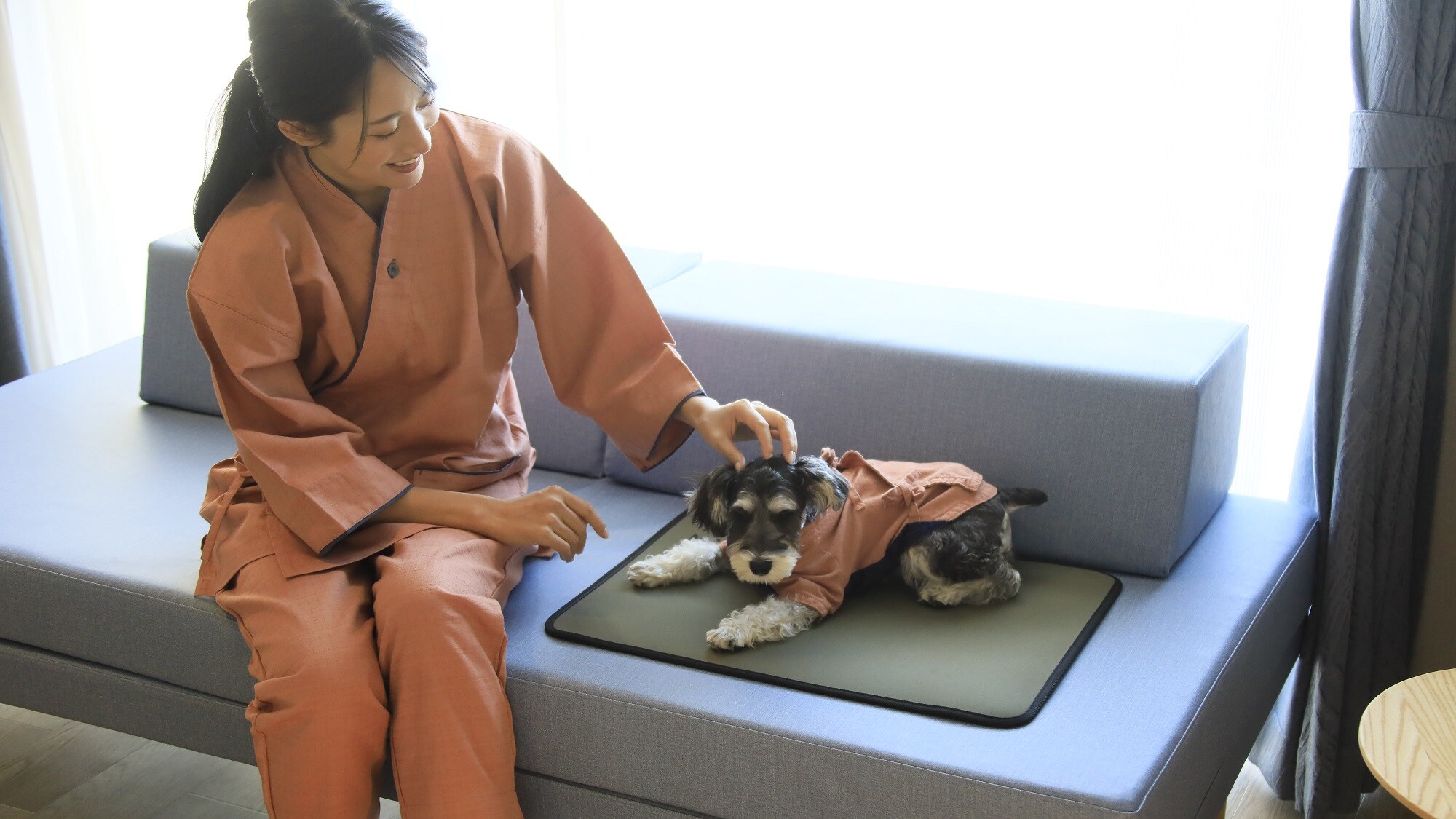 [可携带宠物双床房]