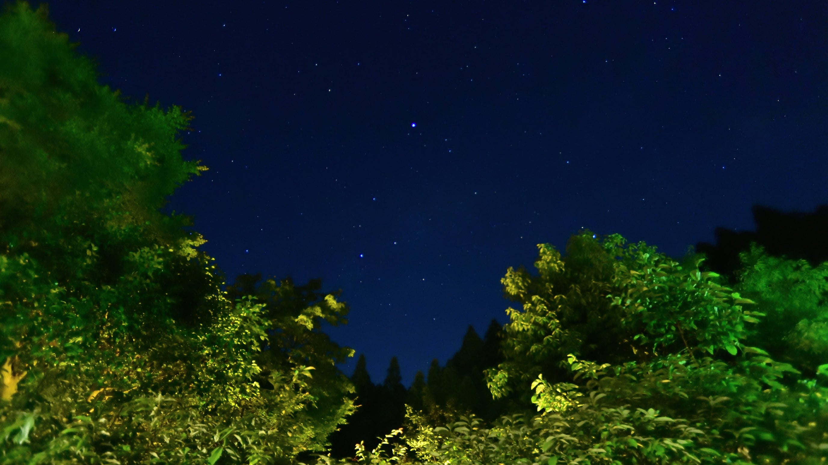 Starry sky