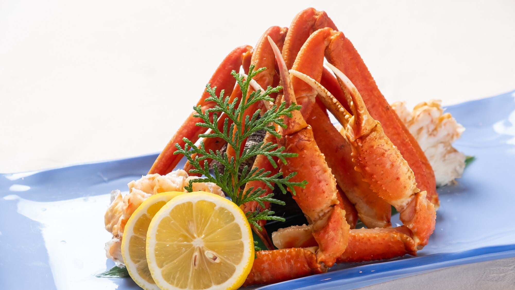 Snow crab
