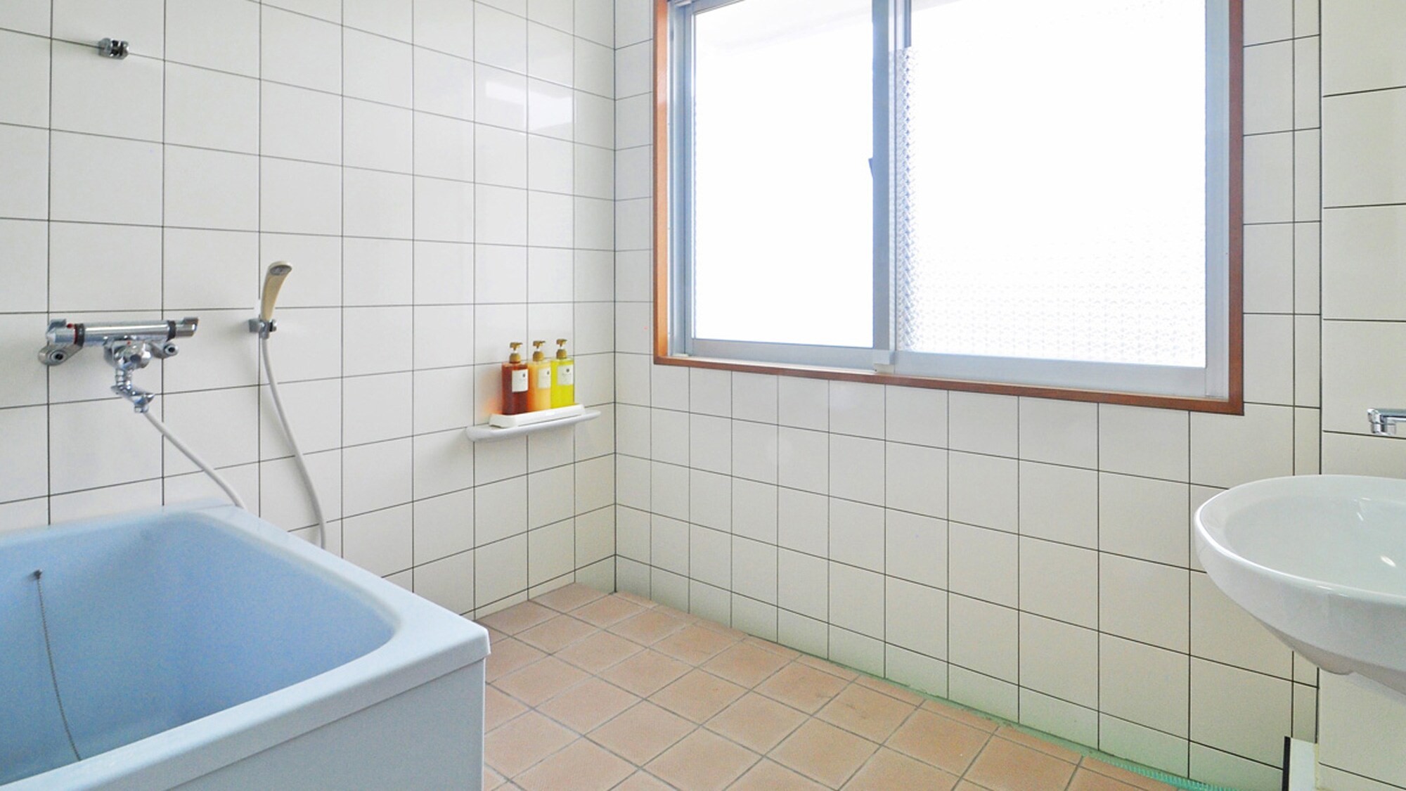 [Annex 1F room] Bathroom and washbasin with natural light