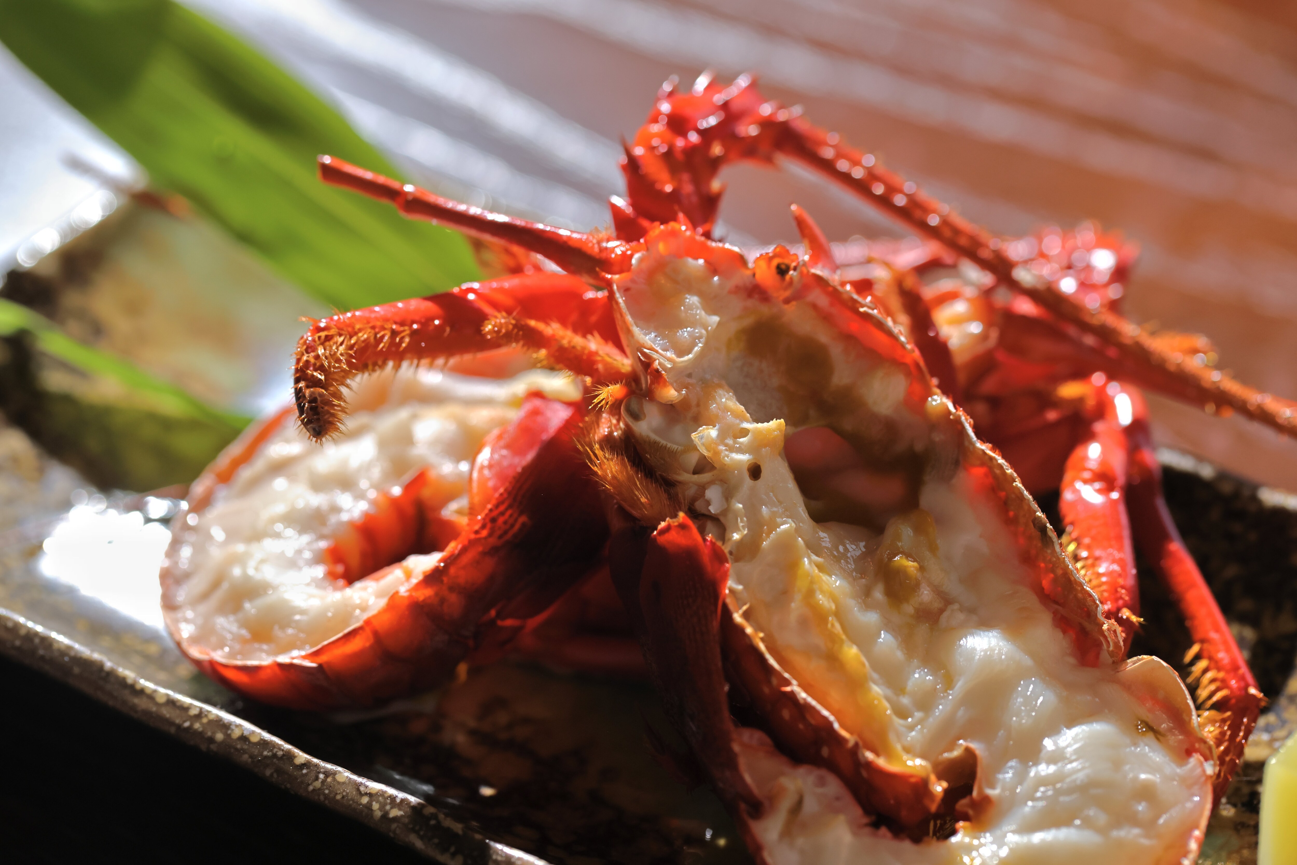 Limited time plan (basic kaiseki course with spiny lobster as a bonus)