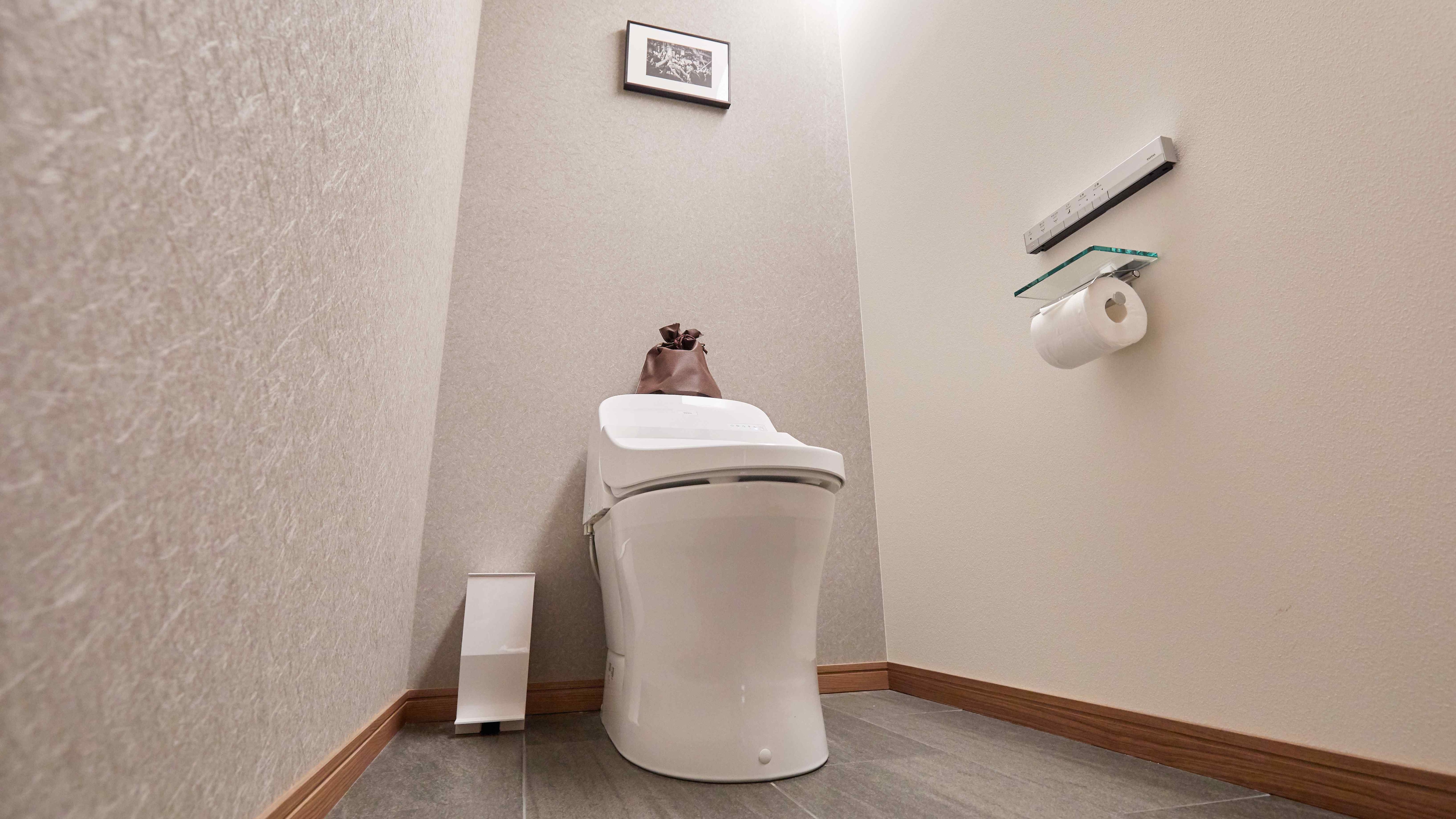 Guest room [toilet]