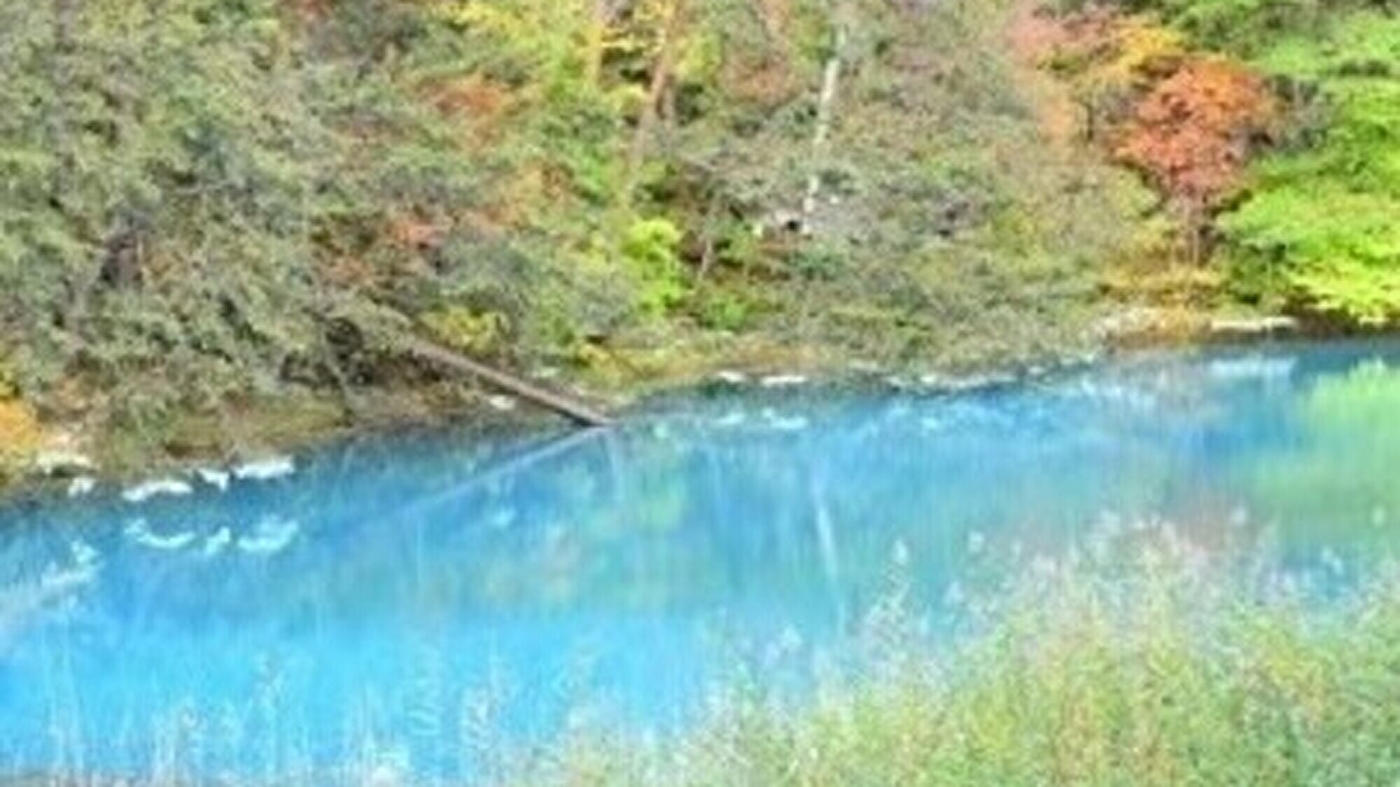 โกะชิกินุมะ (ตัวอย่าง)