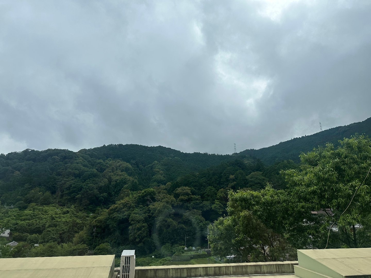 IMG_0705.jpeg