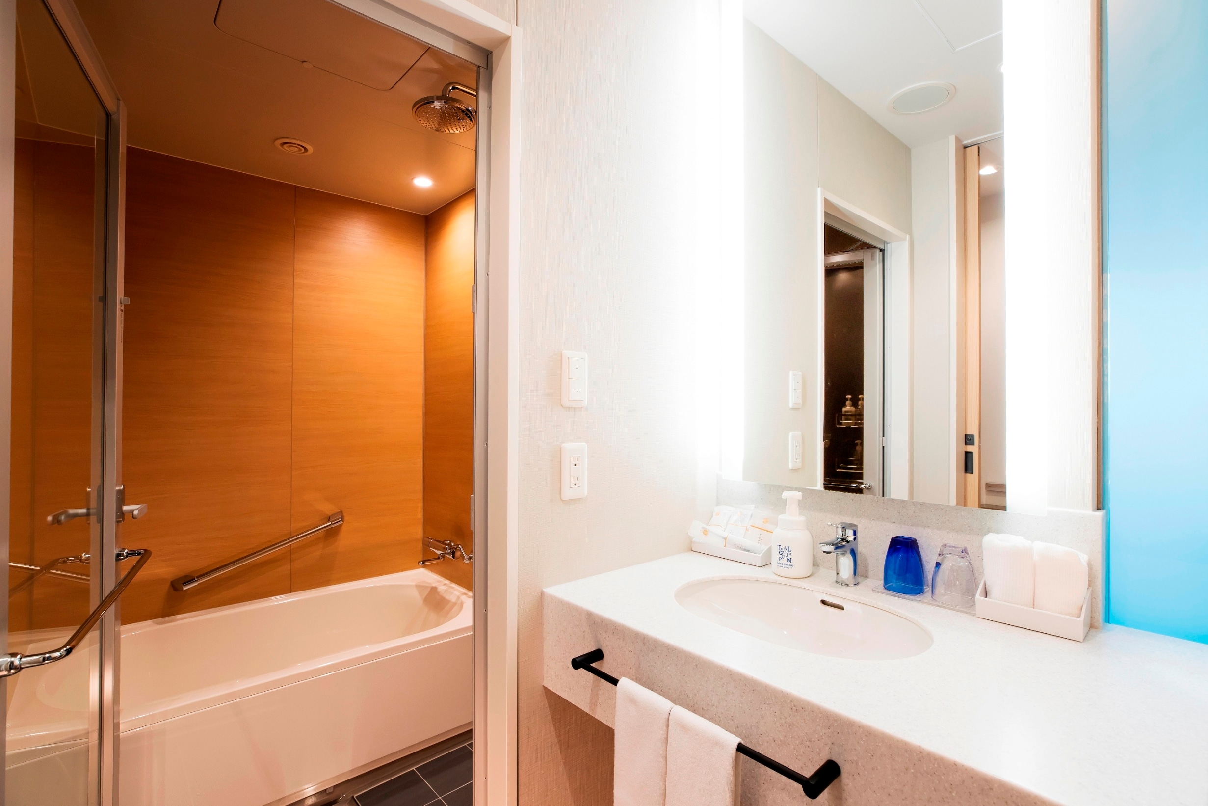 Pacific Side Superior Twin (Type B) Standard Double Washbasin