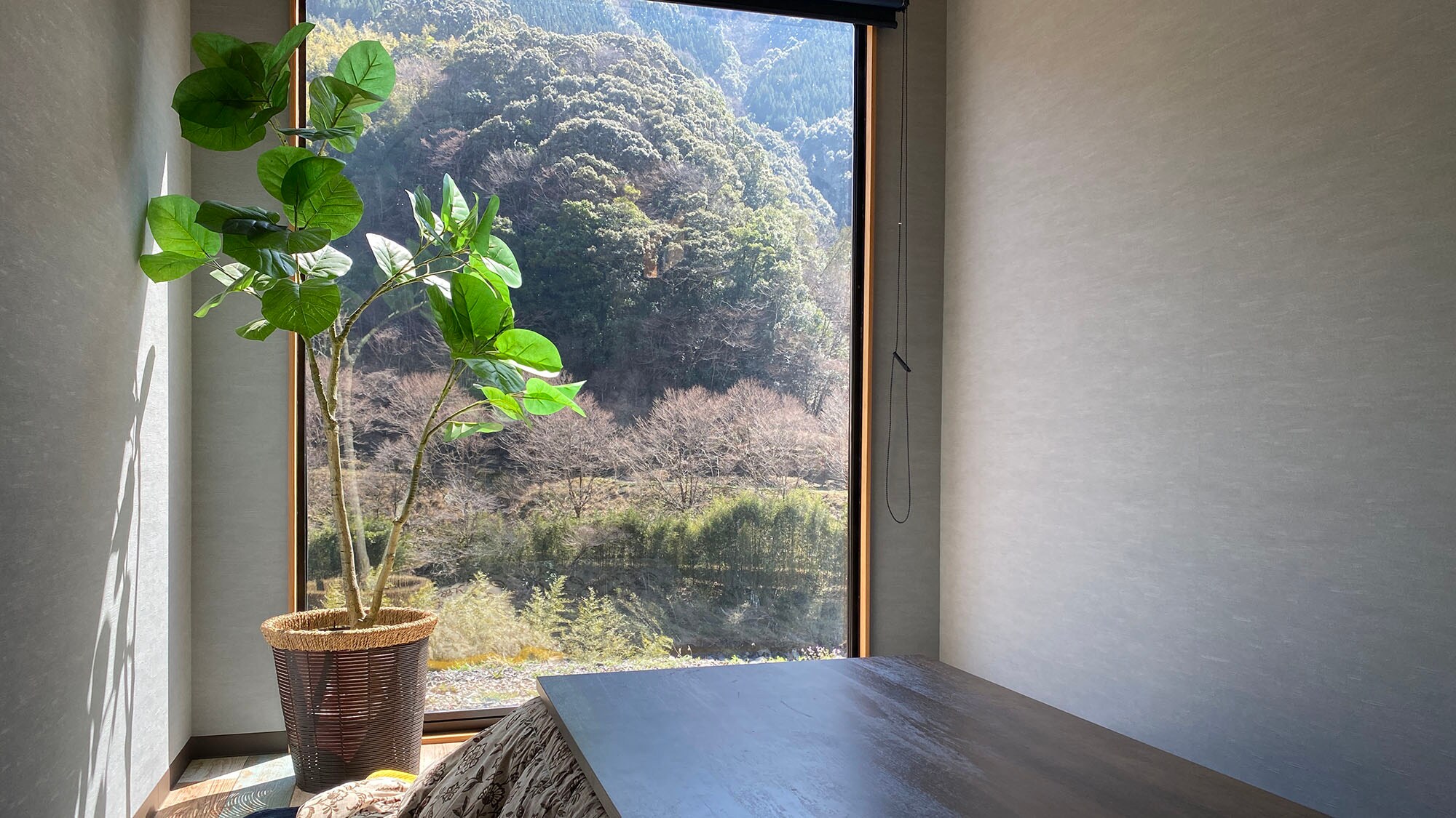 ·window